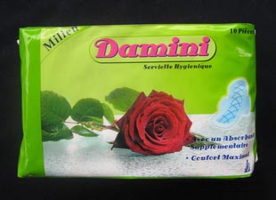 供應Damini10片裝衛(wèi)生巾