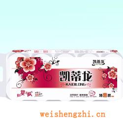 衛(wèi)生紙|生活用紙|保定衛(wèi)生紙廠|凱蒂龍-023