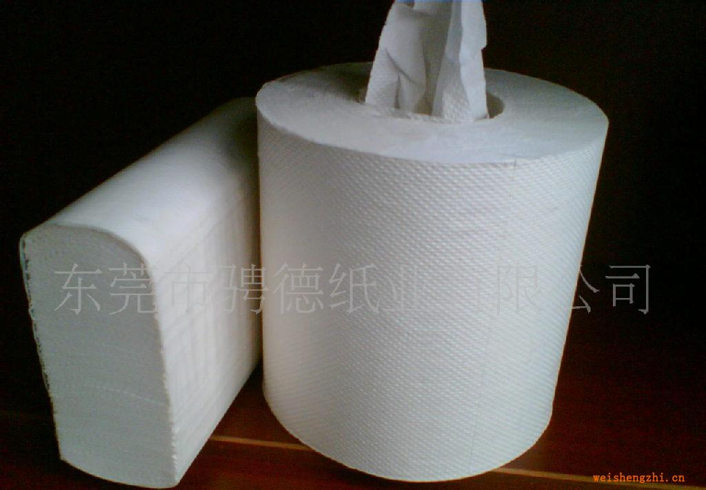 廠家供應(yīng)中間抽取式擦手紙、擦手紙、衛(wèi)生紙、紙制品、紙巾