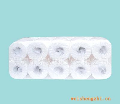 批發(fā)供應(yīng)木漿壓花衛(wèi)生紙餐巾紙原紙