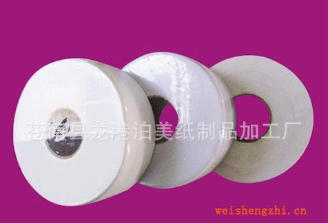 【廠家直銷】供應(yīng)優(yōu)質(zhì)2層大卷紙