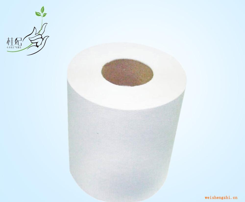 【桂纖牌】優(yōu)質(zhì)柔韌擦手紙?jiān)垼ú坏裘?、不掉粉?/></a>
<ul><li><a href=