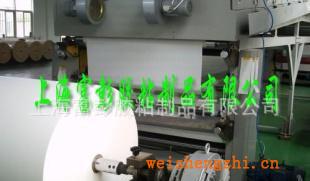 輪胎標(biāo)簽底層背膠用牛皮材質(zhì)白色單面離型紙，硅油紙廠家直銷(xiāo)