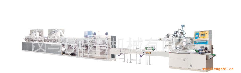 濕巾機(jī)生產(chǎn)廠(chǎng)家供應(yīng)HM-F2680全自動(dòng)30-120片裝濕巾機(jī)