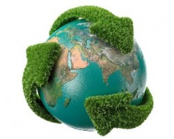 加大政策激勵 讓林業(yè)釋放更強碳匯潛力