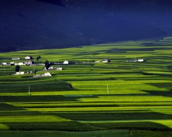 愛傳四季 讓鄉(xiāng)村生活變優(yōu)雅