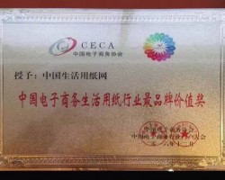 熱烈祝賀中國生活用紙網(wǎng)被授予“中國電子商務(wù)生活用紙行業(yè)具品牌價(jià)值獎(jiǎng)”