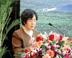 廣東造紙工業(yè)要做全球生產(chǎn)出口基地——訪中國造紙協(xié)會常務(wù)副理事長曹樸芳