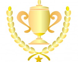 2016年度熱銷商品排行榜 衛(wèi)生紙連續(xù)四年奪冠