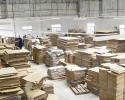 一條政策 可以讓紙箱廠拿到2000萬元