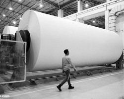 造紙業(yè)電子商務(wù)帶來(lái)的影響