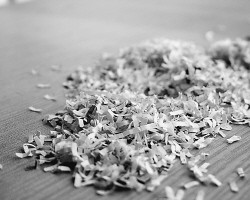 如何去掉衣服上的紙屑