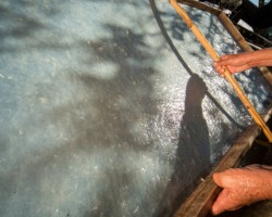 原始紙——傣紙