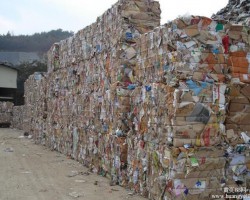 中國造紙?jiān)狭煽窟M(jìn)口！