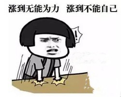 紙價上漲何時休