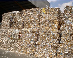 廢紙箱回收價(jià)遇“過山車”誰在作祟