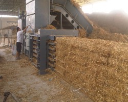 泉林集團(tuán)：秸稈變身彰顯生態(tài)本色