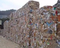 廢紙淡季價(jià)格頻頻上漲，引得央視注意