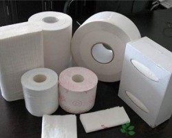 衛(wèi)生紙中還有防腐劑嗎？