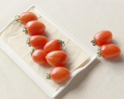 本色紙和普通白色衛(wèi)生紙的區(qū)別是什么？