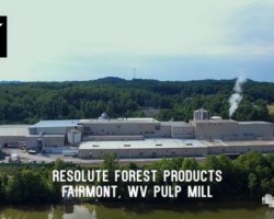 全球第三大再生紙漿廠被紙業(yè)巨頭玖龍收購！