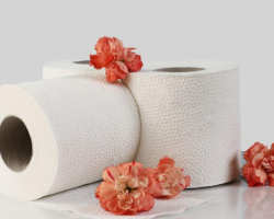 衛(wèi)生紙的使用安全性主要看兩個方面