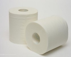 衛(wèi)生紙在我們生活中扮演著重要角色