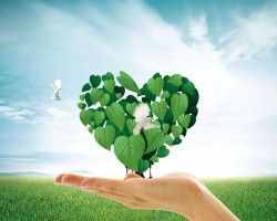 唐山市對摸排出的“散亂污”企業(yè)一律先停后治