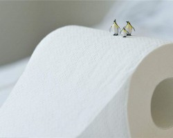 購(gòu)買衛(wèi)生紙應(yīng)該避免那些誤區(qū)！