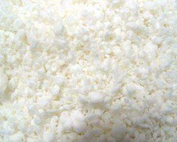 新全球紙業(yè)發(fā)展總況報告