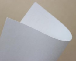 晨鳴、景興、山鷹等龍頭紙企開機(jī)率逐日提升