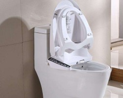 國外廁紙供不應(yīng)求 引發(fā)全球坐便沖洗器銷量飆升