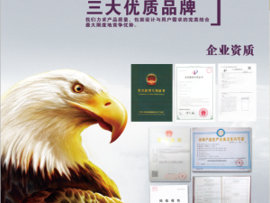 榮譽(yù)資質(zhì) (1)