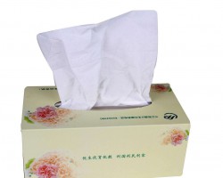 清風(fēng)連續(xù)2年榮獲中國(guó)品牌榜紙巾/卷紙類品牌