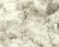 金鷹集團(tuán)400萬(wàn)噸漿紙項(xiàng)目將落戶南通如皋市