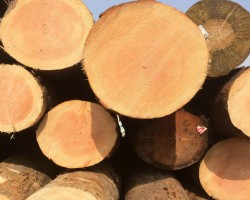 全球?qū)δ静漠a(chǎn)品的需求恢復(fù)仍要一段時(shí)間