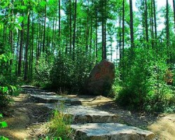 近8年我國森林火災(zāi)發(fā)生率下降41%