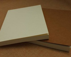 大王造紙開發(fā)CNF高濃度復(fù)合樹脂