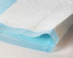 亞太森博廣東紙業(yè)春節(jié)生產文化紙約2萬噸 2020全年產量破100萬噸