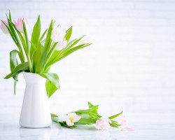 太陽紙業(yè)與愛之家醫(yī)院“合作醫(yī)療單位”揭牌