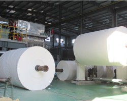 探秘衛(wèi)生紙廠家：品質(zhì)背后的匠心與實(shí)力