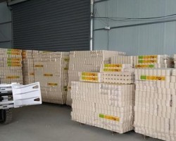 衛(wèi)生紙廠家揭秘：卓越品質(zhì)背后的生產(chǎn)工藝與創(chuàng)新力量